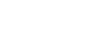 George Starks Spirit of Slamdance Award Winner - 2025 Slamdance Film Festival